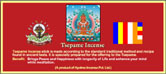 Tsepame Incense